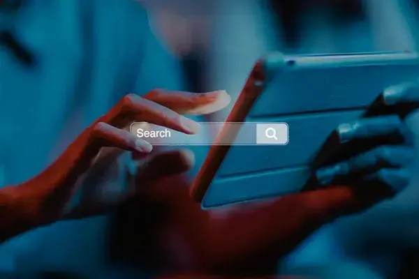 SEO specialists improving Google search rankings for New Zealand businesses