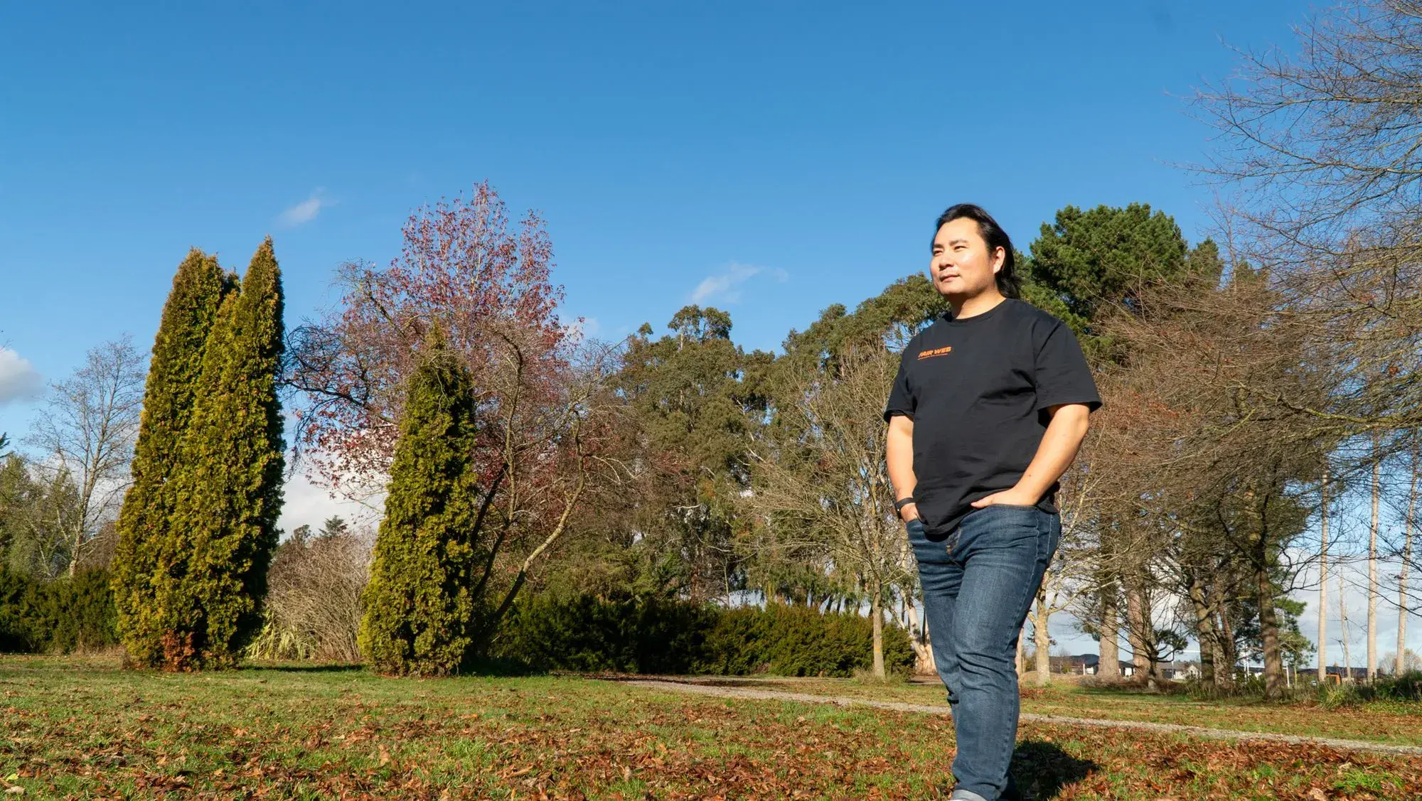 Professional website design and SEO solutions for New Zealand small businesses